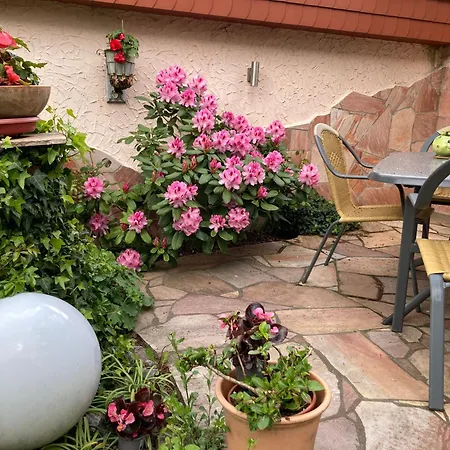 Апартаменты Harzer Hexenstieg Вернигероде