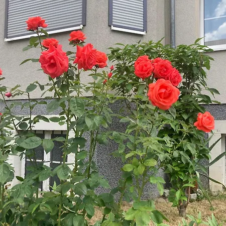 Appartamento Harzer Hexenstieg