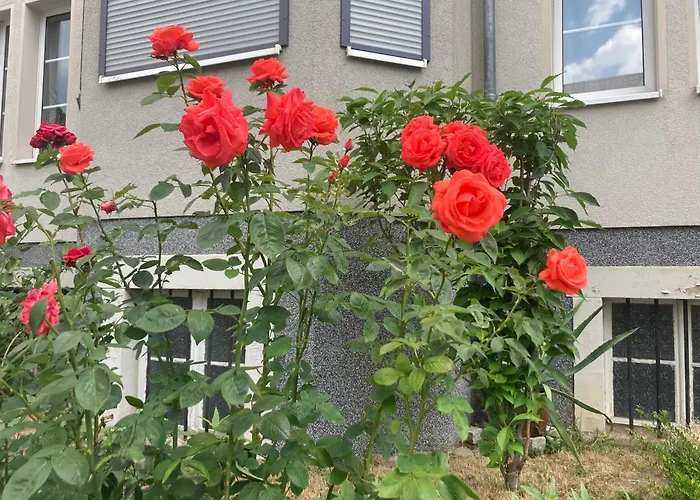 Appartamento Harzer Hexenstieg